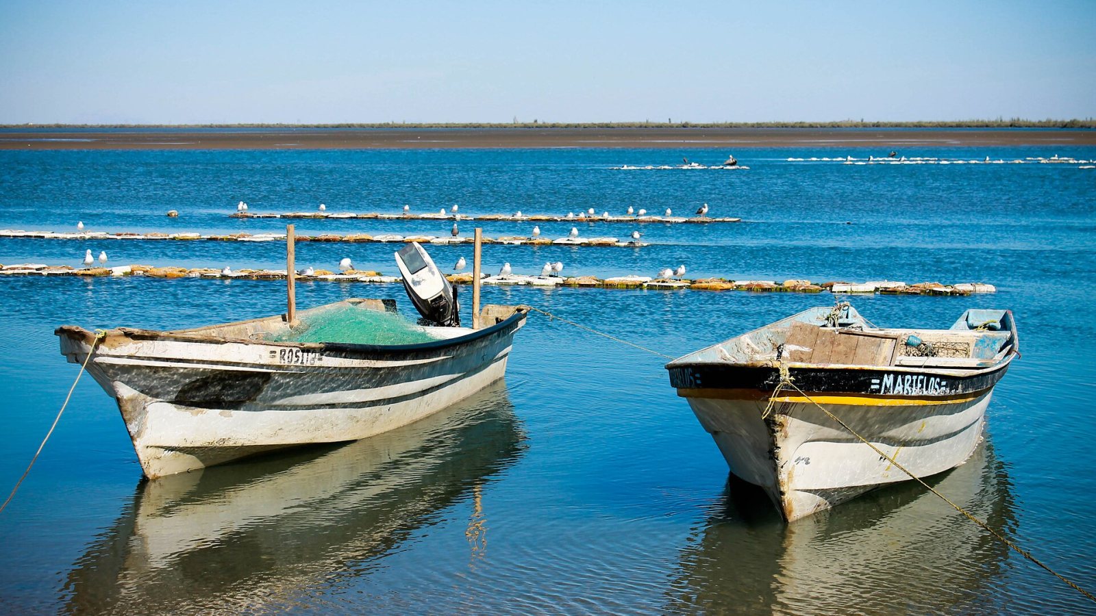 Playa de Bahía de Kino, Sonora