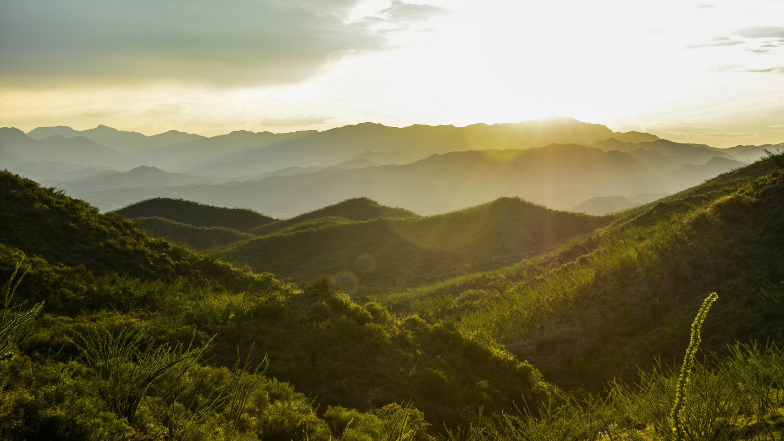 Paisaje de la sierra de Sonora en Arizpe
