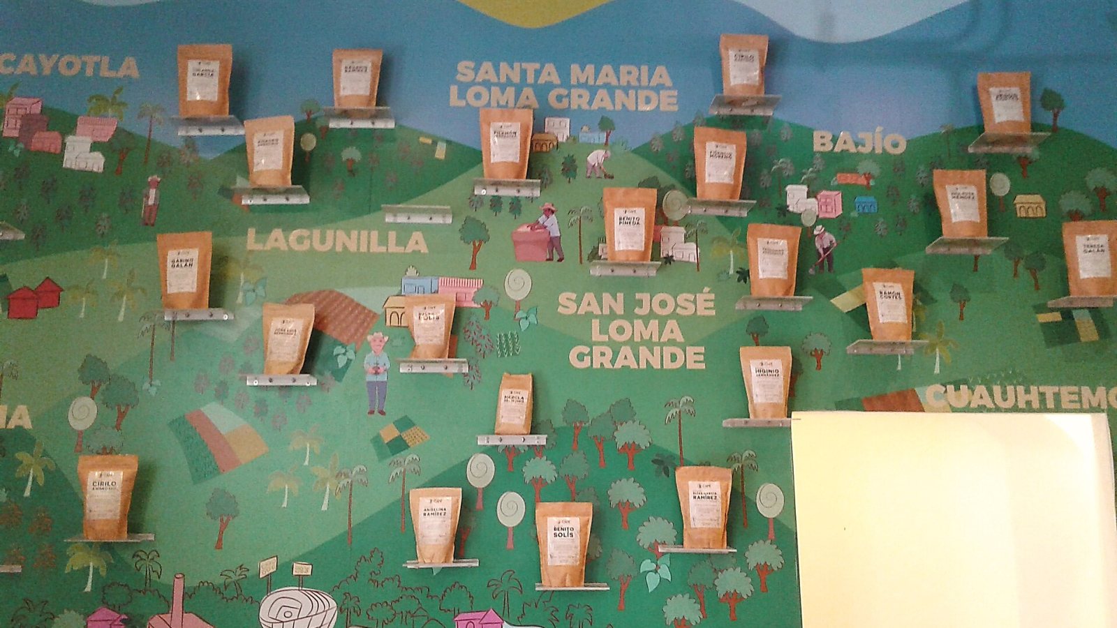 Nestlé duplica su inversión en México a 2 mil millones de dólares y sumará a 2 mil productores de café de Veracruz