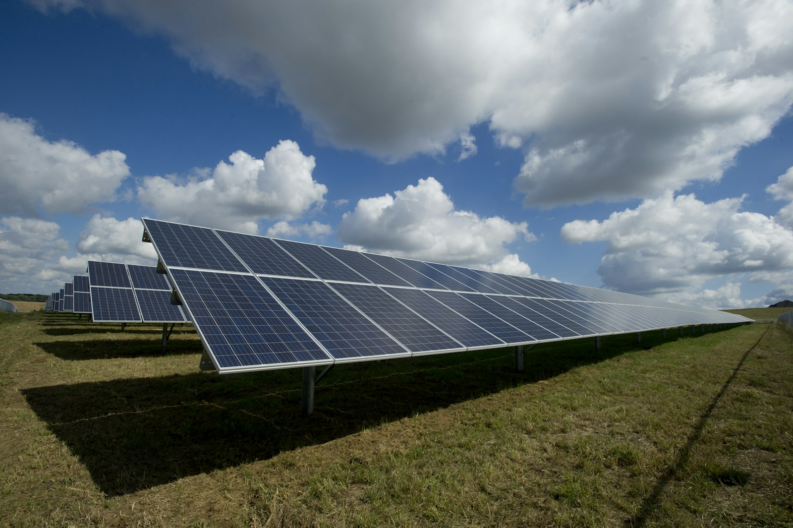 Campo de paneles solares bajo un cielo azul